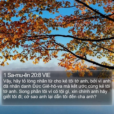 1 Sa-mu-ên 20:8 VIE Bible Verse Image