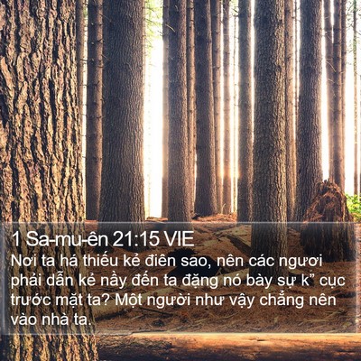 1 Sa-mu-ên 21:15 VIE Bible Verse Image