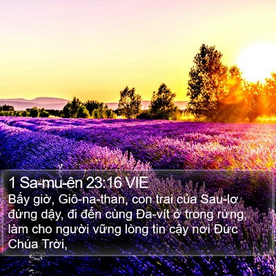 1 Sa-mu-ên 23:16 VIE Bible Verse Image