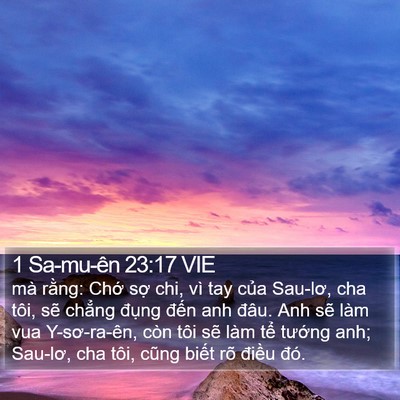 1 Sa-mu-ên 23:17 VIE Bible Verse Image