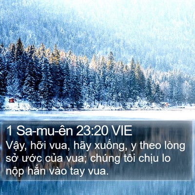 1 Sa-mu-ên 23:20 VIE Bible Verse Image