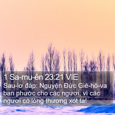 1 Sa-mu-ên 23:21 VIE Bible Verse Image