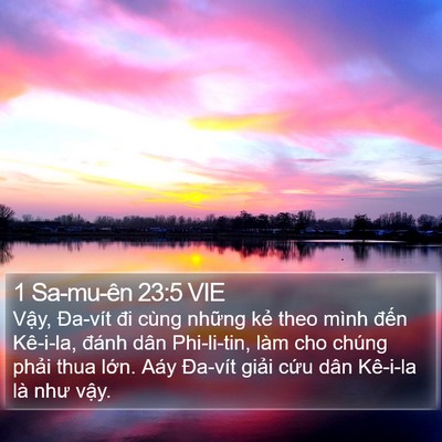 1 Sa-mu-ên 23:5 VIE Bible Verse Image