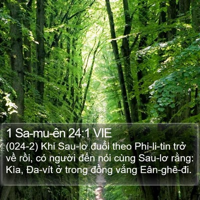 1 Sa-mu-ên 24:1 VIE Bible Verse Image