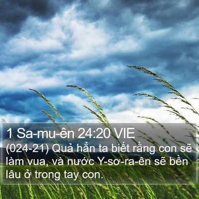 1 Sa-mu-ên 24:20 VIE Bible Verse Image