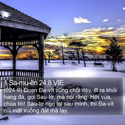 1 Sa-mu-ên 24:8 VIE Bible Verse Image