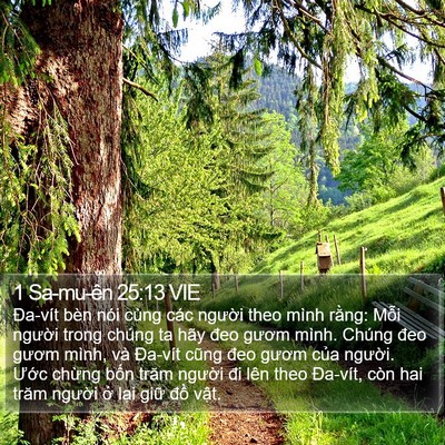 1 Sa-mu-ên 25:13 VIE Bible Verse Image