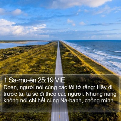 1 Sa-mu-ên 25:19 VIE Bible Verse Image