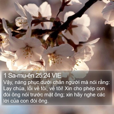 1 Sa-mu-ên 25:24 VIE Bible Verse Image