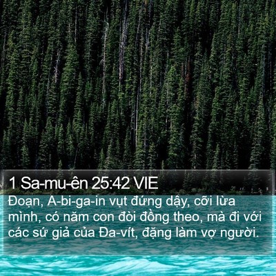 1 Sa-mu-ên 25:42 VIE Bible Verse Image