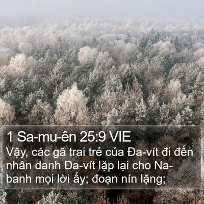 1 Sa-mu-ên 25:9 VIE Bible Verse Image