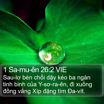 1 Sa-mu-ên 26:2 VIE Bible Verse Image