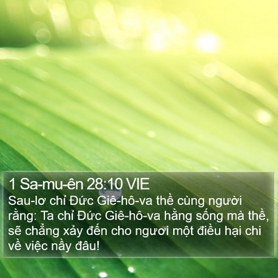 1 Sa-mu-ên 28:10 VIE Bible Verse Image
