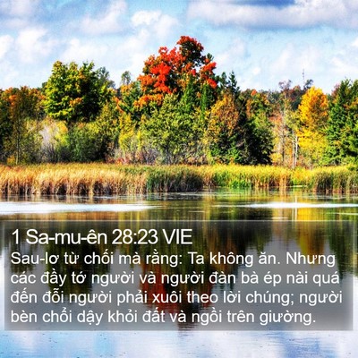1 Sa-mu-ên 28:23 VIE Bible Verse Image