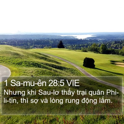 1 Sa-mu-ên 28:5 VIE Bible Verse Image