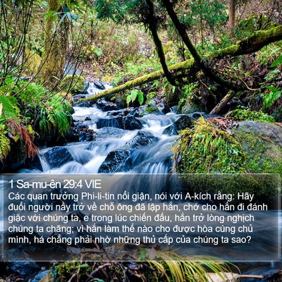1 Sa-mu-ên 29:4 VIE Bible Verse Image