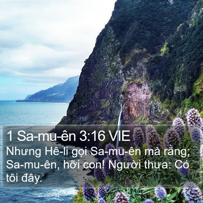 1 Sa-mu-ên 3:16 VIE Bible Verse Image