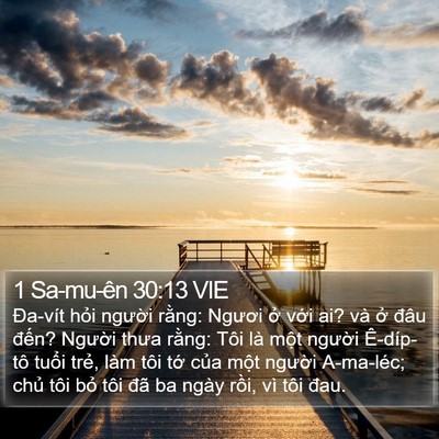 1 Sa-mu-ên 30:13 VIE Bible Verse Image