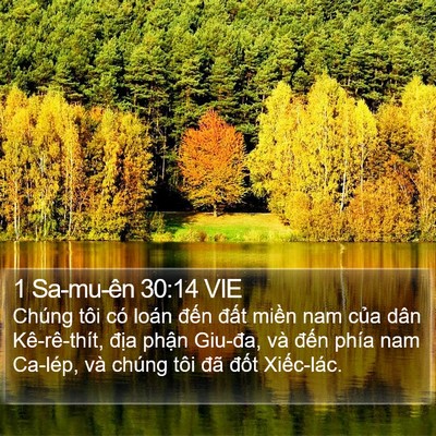1 Sa-mu-ên 30:14 VIE Bible Verse Image