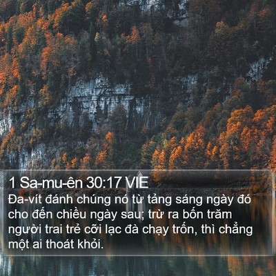 1 Sa-mu-ên 30:17 VIE Bible Verse Image