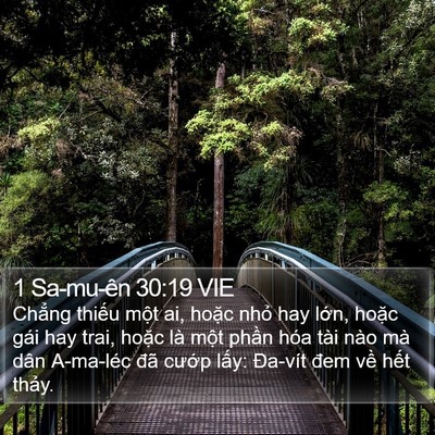 1 Sa-mu-ên 30:19 VIE Bible Verse Image