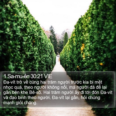 1 Sa-mu-ên 30:21 VIE Bible Verse Image