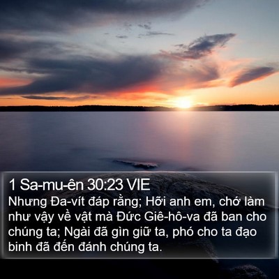1 Sa-mu-ên 30:23 VIE Bible Verse Image