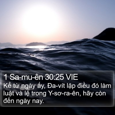 1 Sa-mu-ên 30:25 VIE Bible Verse Image