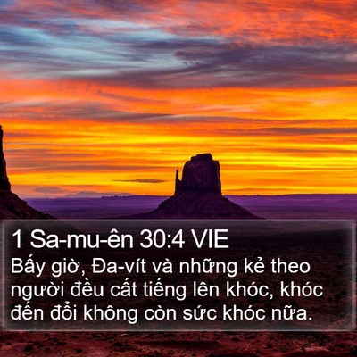 1 Sa-mu-ên 30:4 VIE Bible Verse Image