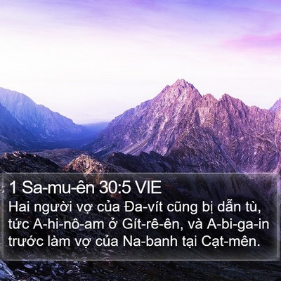 1 Sa-mu-ên 30:5 VIE Bible Verse Image