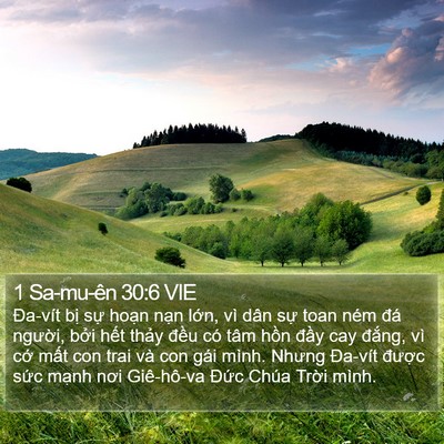 1 Sa-mu-ên 30:6 VIE Bible Verse Image