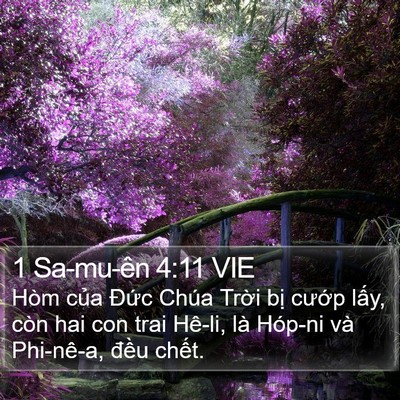 1 Sa-mu-ên 4:11 VIE Bible Verse Image