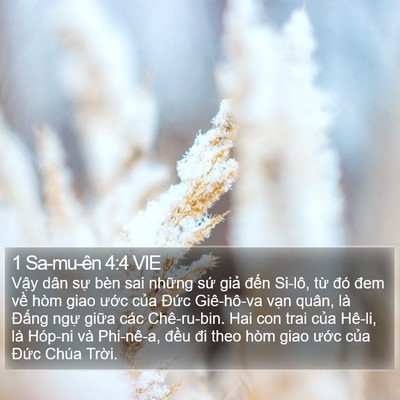 1 Sa-mu-ên 4:4 VIE Bible Verse Image
