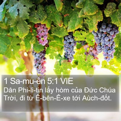 1 Sa-mu-ên 5:1 VIE Bible Verse Image