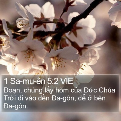 1 Sa-mu-ên 5:2 VIE Bible Verse Image