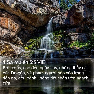 1 Sa-mu-ên 5:5 VIE Bible Verse Image