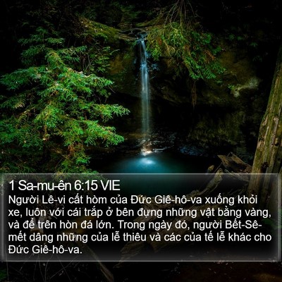 1 Sa-mu-ên 6:15 VIE Bible Verse Image
