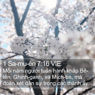 1 Sa-mu-ên 7:16 VIE Bible Verse Image