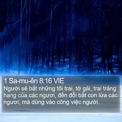 1 Sa-mu-ên 8:16 VIE Bible Verse Image