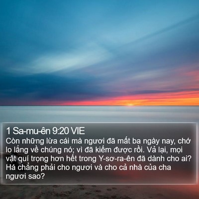 1 Sa-mu-ên 9:20 VIE Bible Verse Image