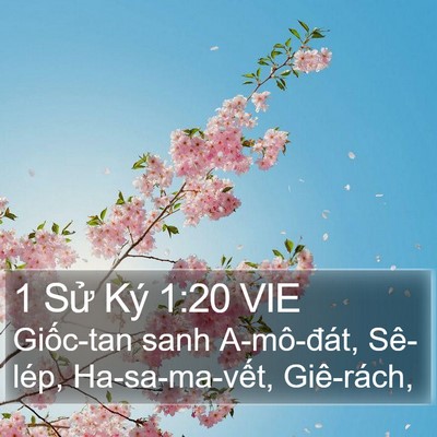 1 Sử Ký 1:20 VIE Bible Verse Image