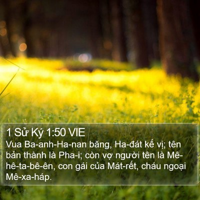 1 Sử Ký 1:50 VIE Bible Verse Image