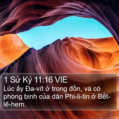 1 Sử Ký 11:16 VIE Bible Verse Image