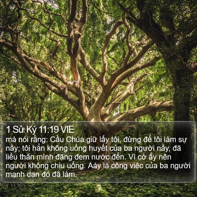 1 Sử Ký 11:19 VIE Bible Verse Image