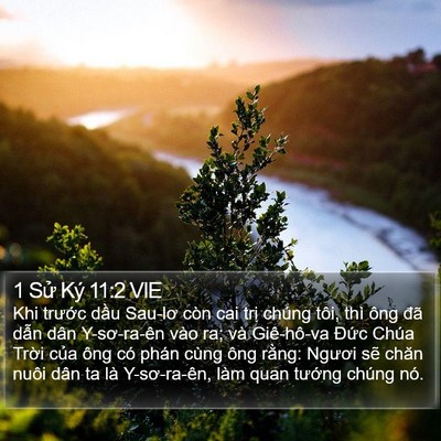 1 Sử Ký 11:2 VIE Bible Verse Image