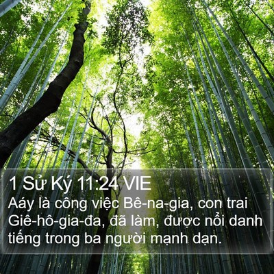 1 Sử Ký 11:24 VIE Bible Verse Image