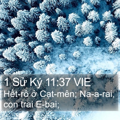 1 Sử Ký 11:37 VIE Bible Verse Image