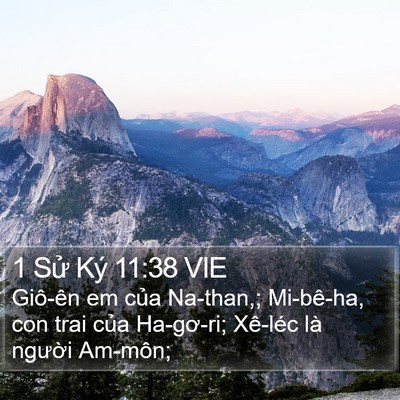 1 Sử Ký 11:38 VIE Bible Verse Image