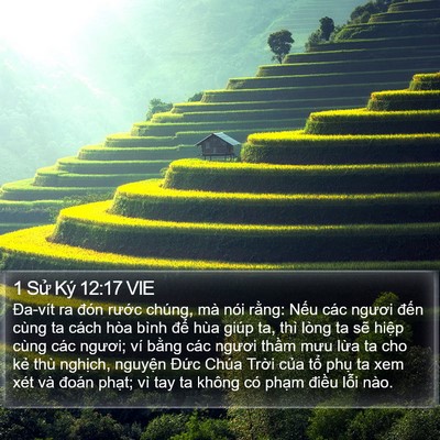 1 Sử Ký 12:17 VIE Bible Verse Image