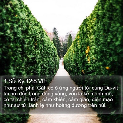 1 Sử Ký 12:8 VIE Bible Verse Image